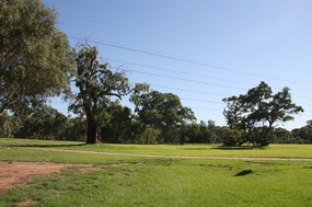 An early morning walk in the reserve