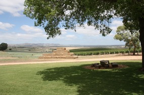 View from Pindarie Winery