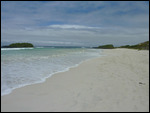 Tortuga Bay, Santa Cruz