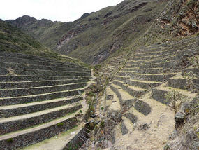 Pisac terraces