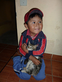 Little Matteo with strangled kitten
