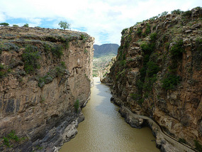 El gorge sin vino