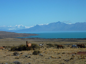 Lago Argentino