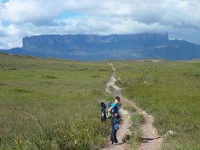 On the trail...