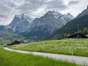 Fields of wildflowers are passed during climb.
