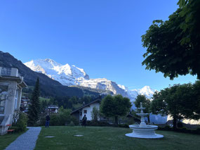 Beautiful sunny scene on our wedding lawn.