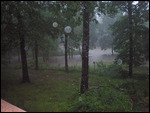 Sue & Al's Backyard flooding