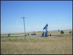 Jack Pumps