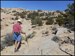 Butler Wash, Mule Canyon & Cave Towers Ruins