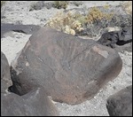 Petrograph from Grimes Point