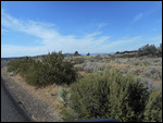 On our drive, High desert showed up.