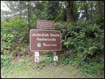 Jedediah Smith Redwoods State Park
