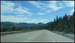 Driving in California lots of trees.