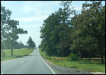 Driving over rolling hills on RT 49 toward Biloxi.