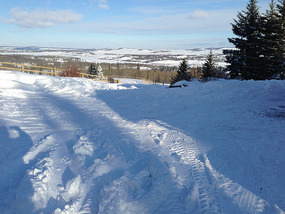 left snowy cold Calgary