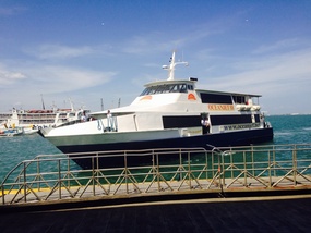 Fast Cat ferry