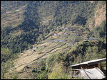 Terraced rice fields in the hills along the way.